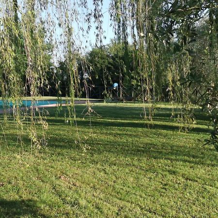 Residenza Il Platano Fortilizio Di Campiglia Rapolano Terme Extérieur photo