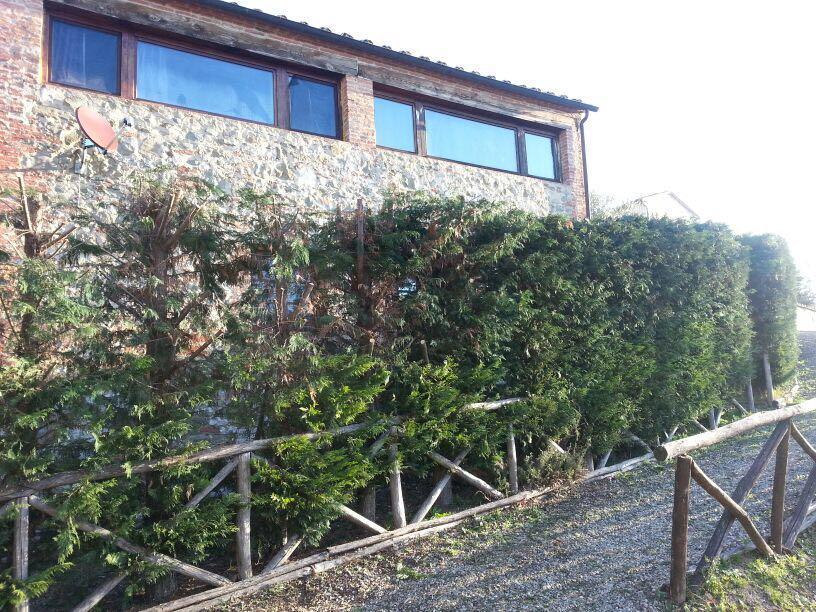 Residenza Il Platano Fortilizio Di Campiglia Rapolano Terme Extérieur photo